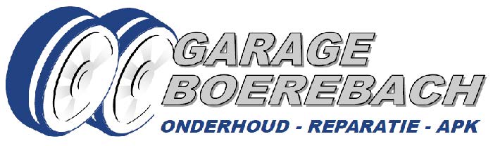 Logo Garage Boerebach